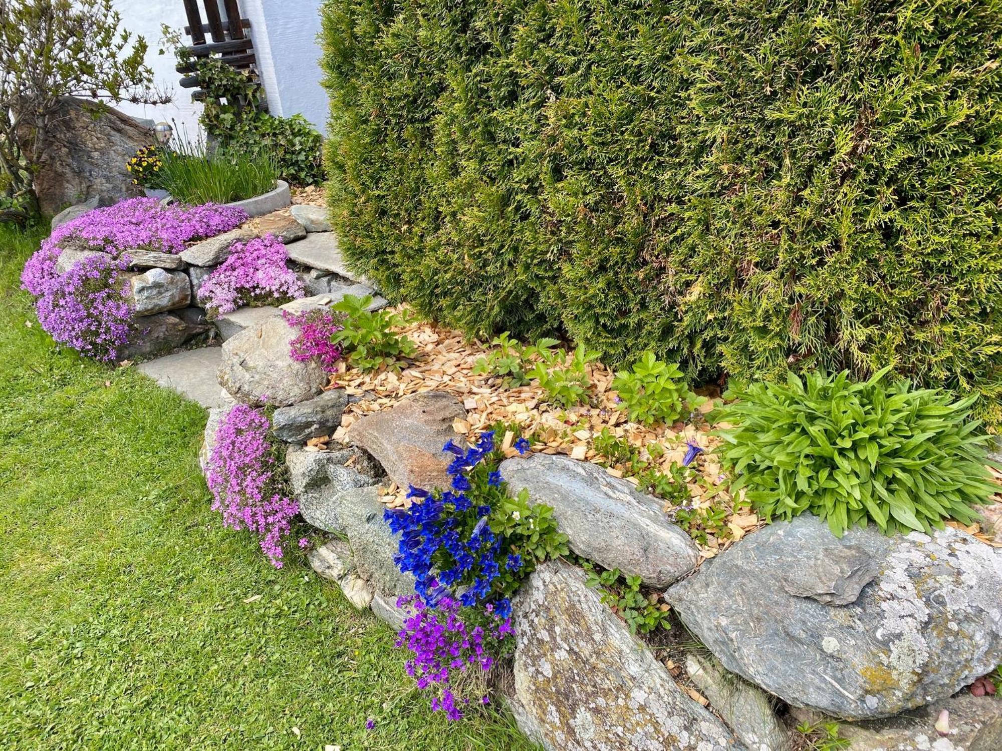 Apartment Schlickenhof Hintergöriach Kültér fotó